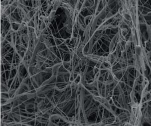 SINOYQX Transulate Products Ranges